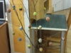 paroda2